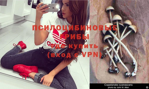 дмт Армянск