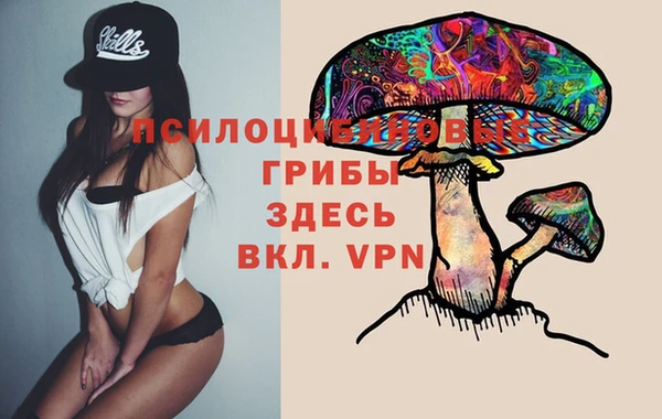 дмт Армянск
