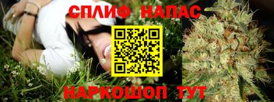 прущие крисы Новокубанск