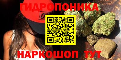 первитин Новодвинск
