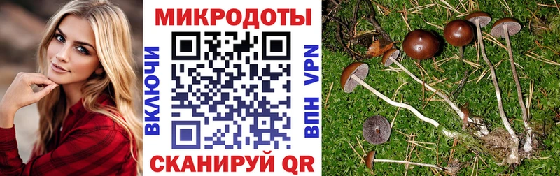 Галлюциногенные грибы мицелий  Шуя 