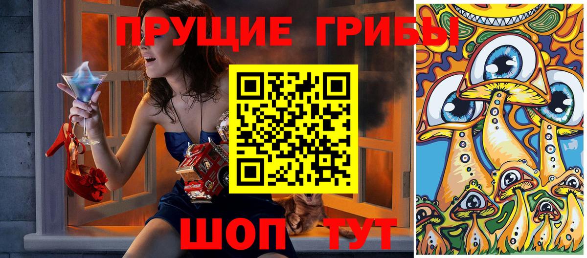 Галлюциногенные грибы мицелий  Галлюциногенные грибы Psilocybine cubensis  Вход с VPN  Шуя 